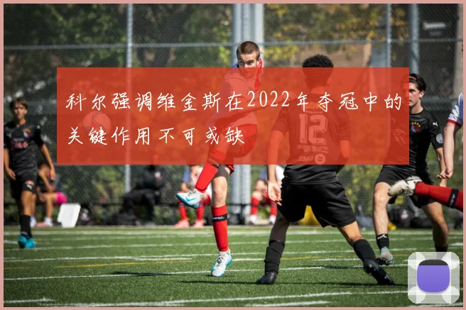 科尔强调维金斯在2022年夺冠中的关键作用不可或缺
