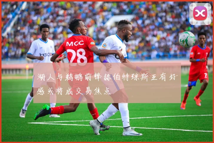 湖人与鹈鹕前锋赫伯特琼斯互有好感或将成交易焦点
